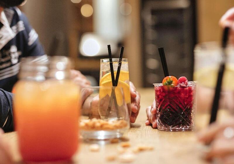 Ibis Hotel Friedrichshafen Airport Messe