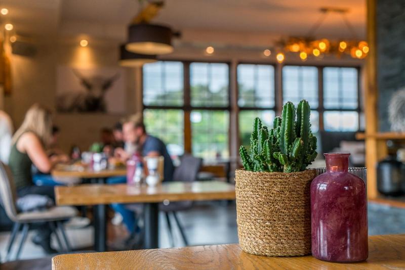 בית מלון כפרי Inn Salland