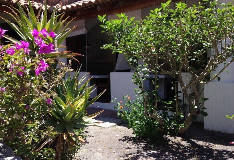 فندق Jerà Aloe B&b Relax Vulcanello