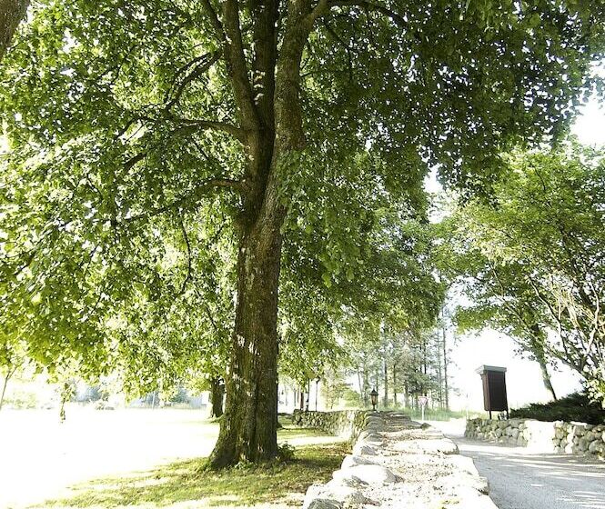 فندق Kronen Gaard