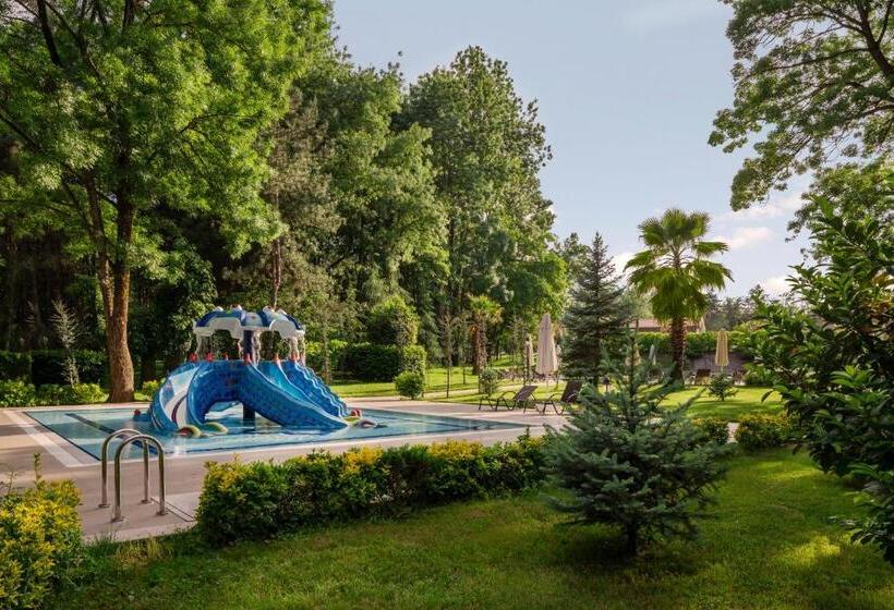 هتل Ng Sapanca Wellness & Convention