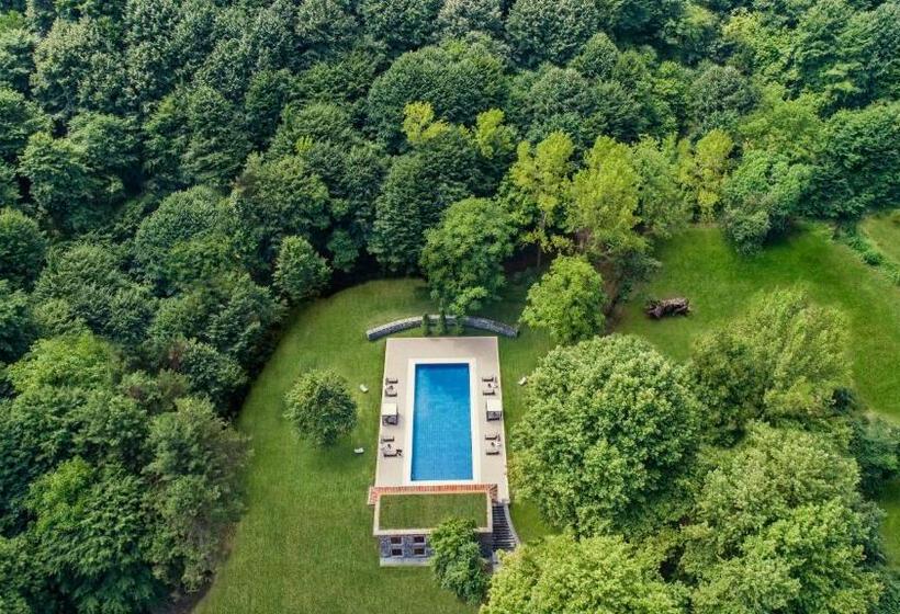 هتل Ng Sapanca Wellness & Convention