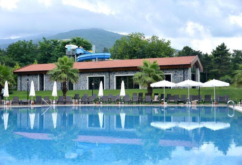 هتل Ng Sapanca Wellness & Convention