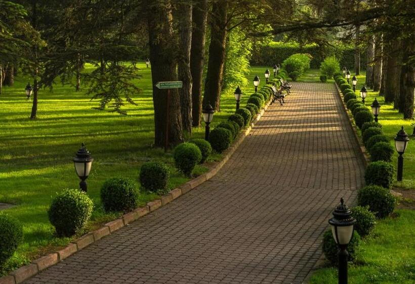 هتل Ng Sapanca Wellness & Convention