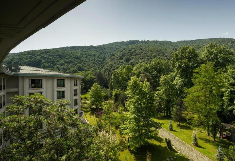 هتل Ng Sapanca Wellness & Convention