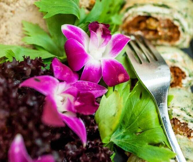 فندق Pod Złotą Różą