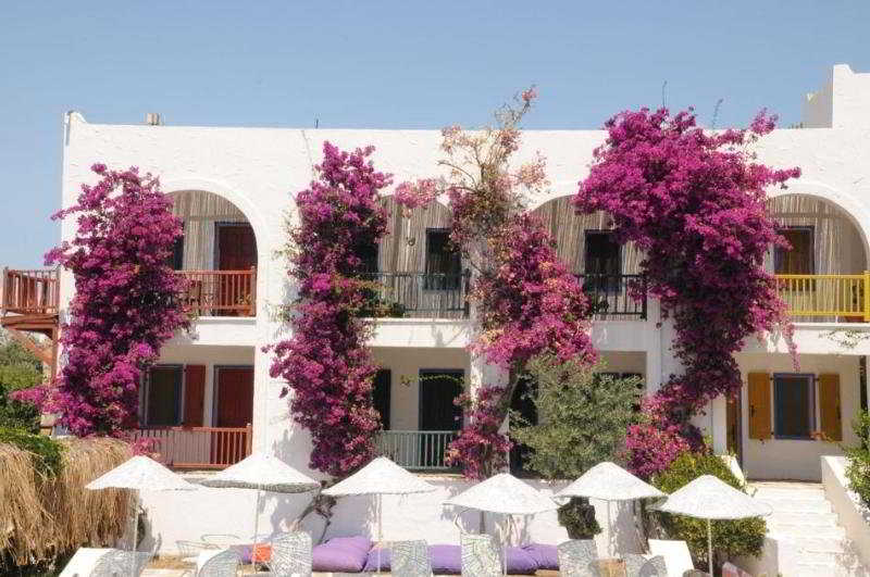 בית מלון כפרי Samdan