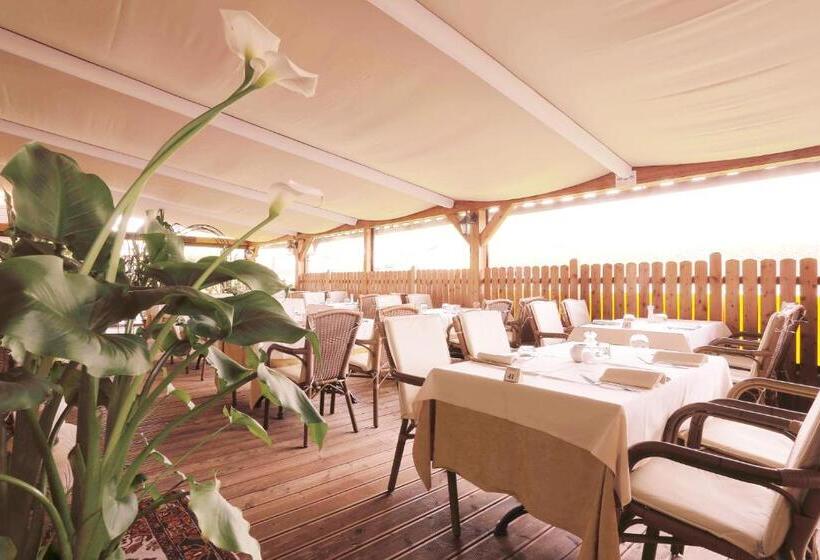 בית מלון כפרי Sartori's