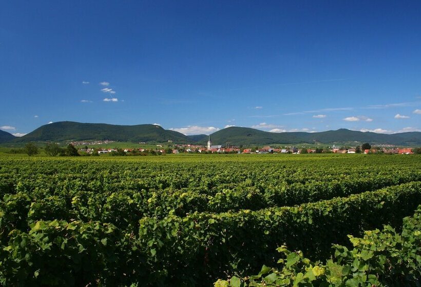 בית מלון כפרי Schloss Edesheim