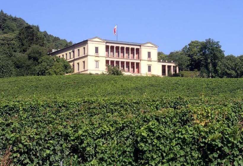 בית מלון כפרי Schloss Edesheim