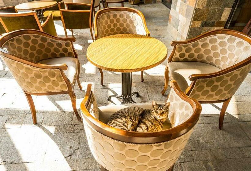 Snezhanka Hotel Pamporovo Half Board & Ski