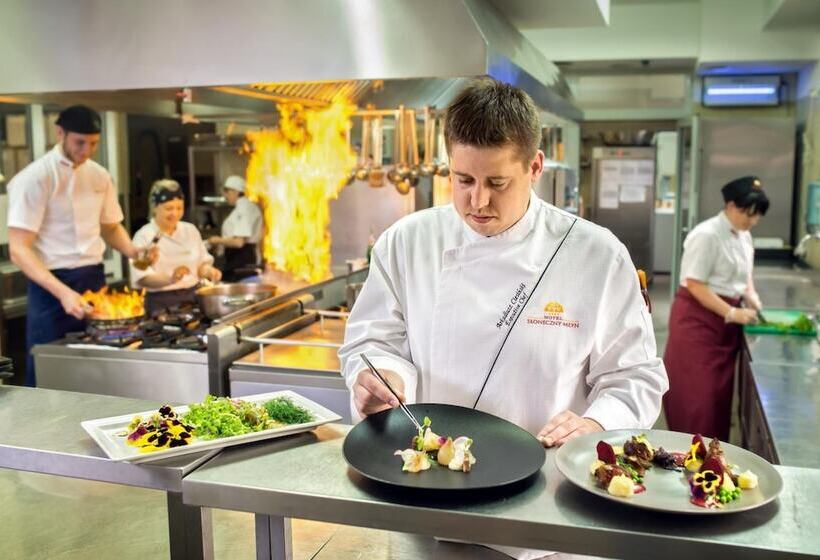 هتل Słoneczny Młyn