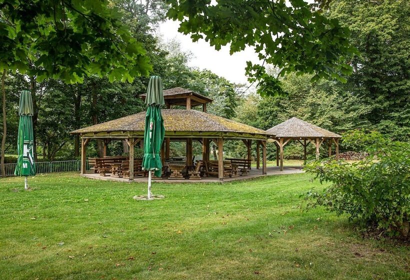 Отель Spa Wieniawa