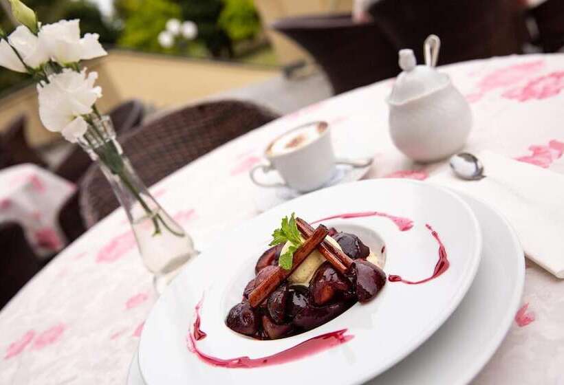 Отель Spa Wieniawa