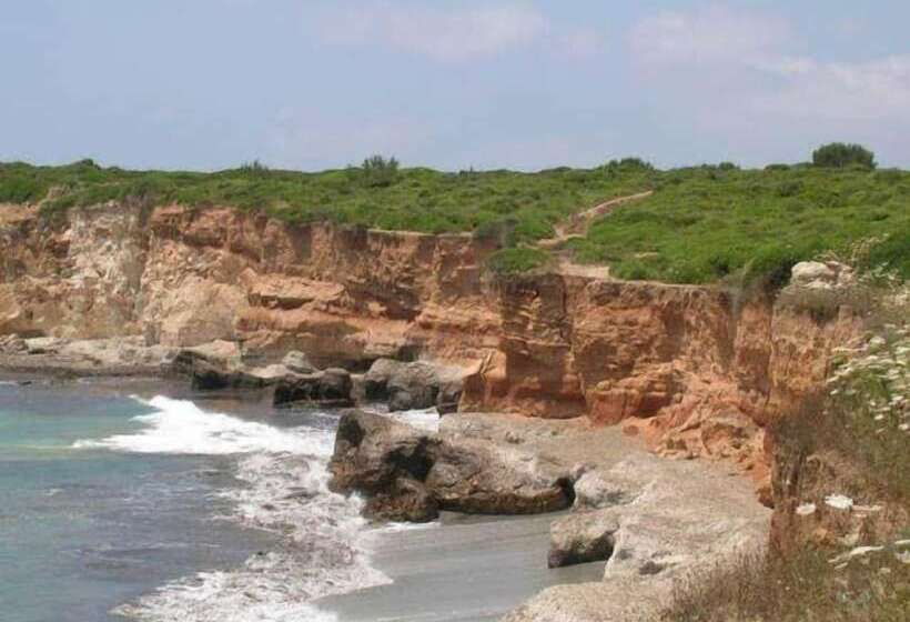 בית מלון כפרי Summertime