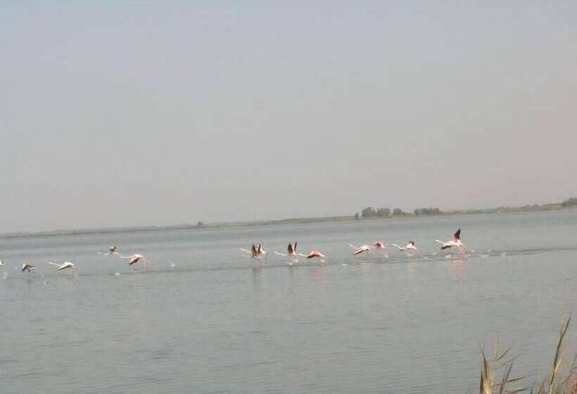 Отель Summertime