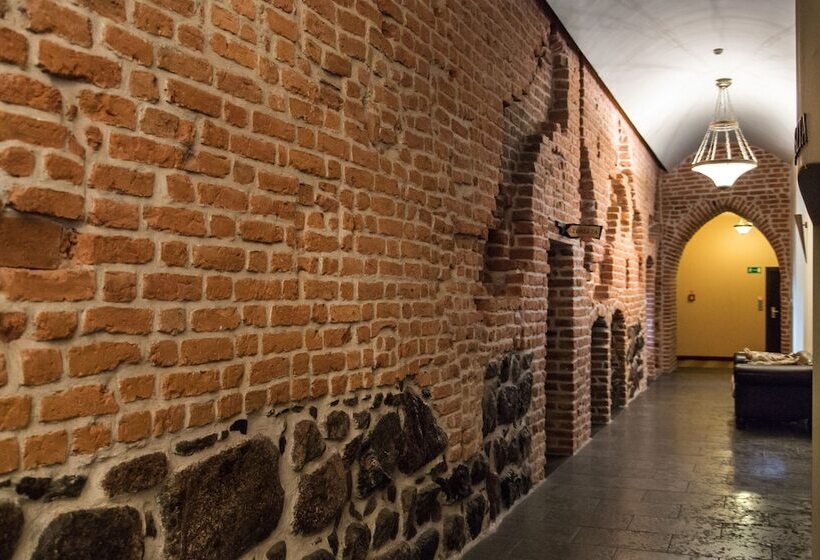 בית מלון כפרי Zamek Ryn