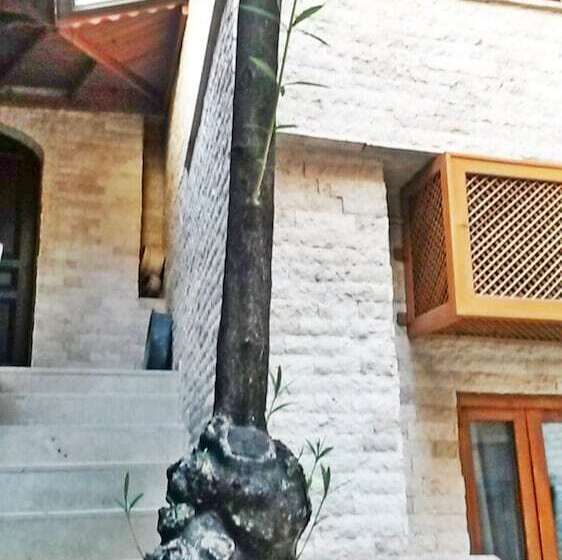 فندق Zeynep Hanim Konagi