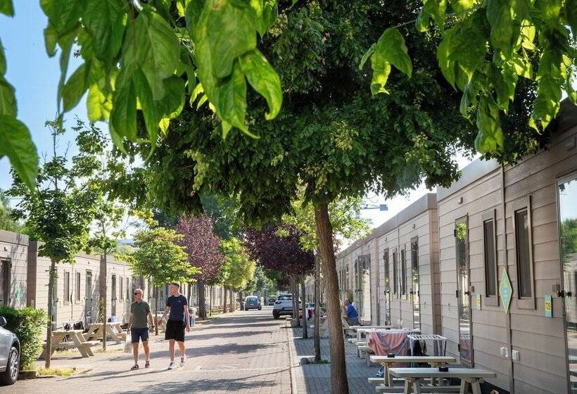 Hu Roma Camping In Town