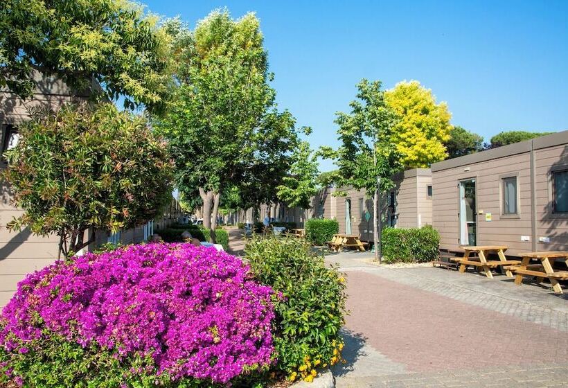 Hu Roma Camping In Town