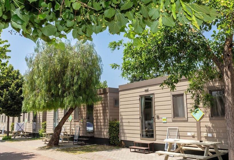 Hu Roma Camping In Town