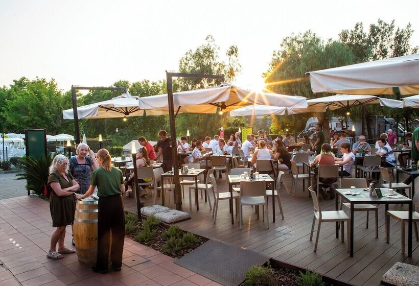 Hu Roma Camping In Town