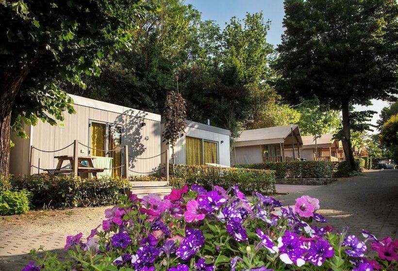 Hu Roma Camping In Town