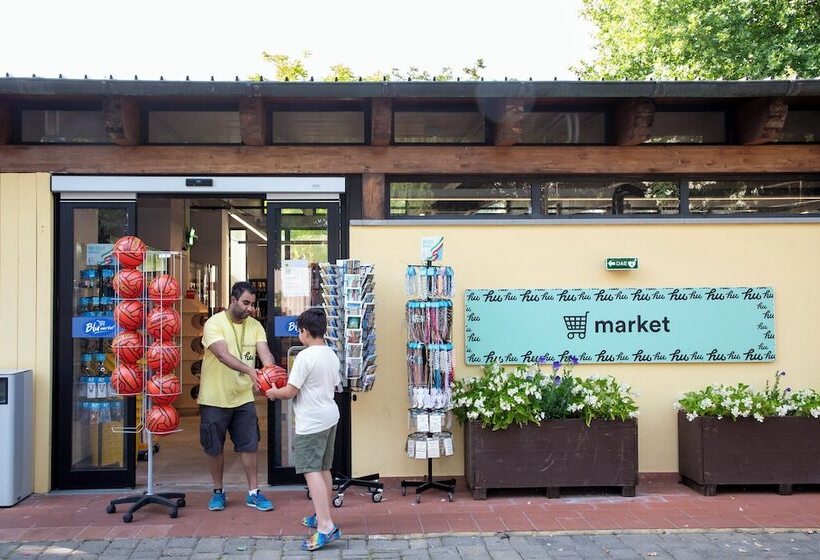 Hu Roma Camping In Town