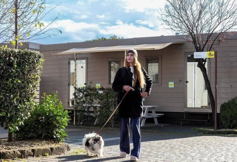 Hu Roma Camping In Town