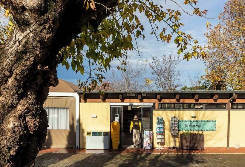 Hu Roma Camping In Town