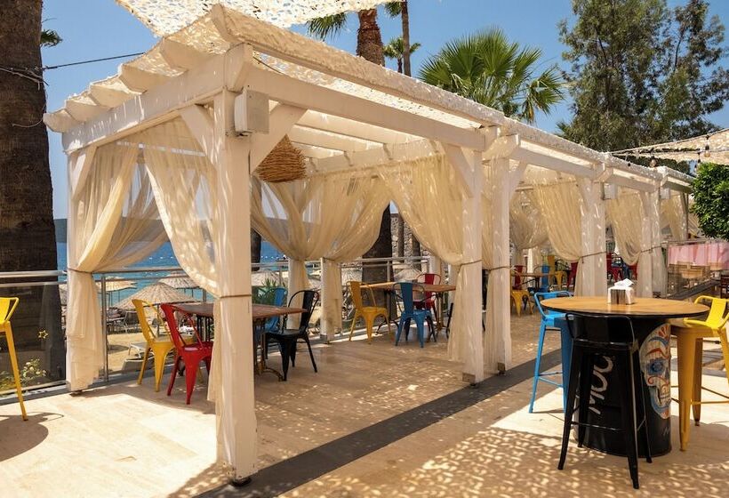 渡假胜地  Tui Magic Life Bodrum   Adults Only