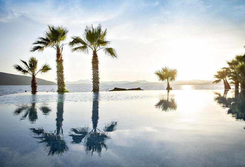 渡假胜地  Tui Magic Life Bodrum   Adults Only