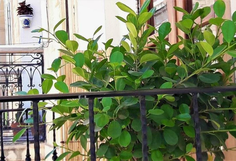 هاستل Centre Point, Malta S Most Central