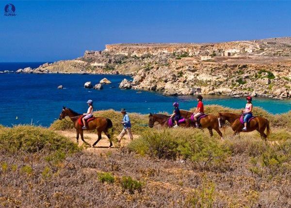 هاستل Centre Point, Malta S Most Central