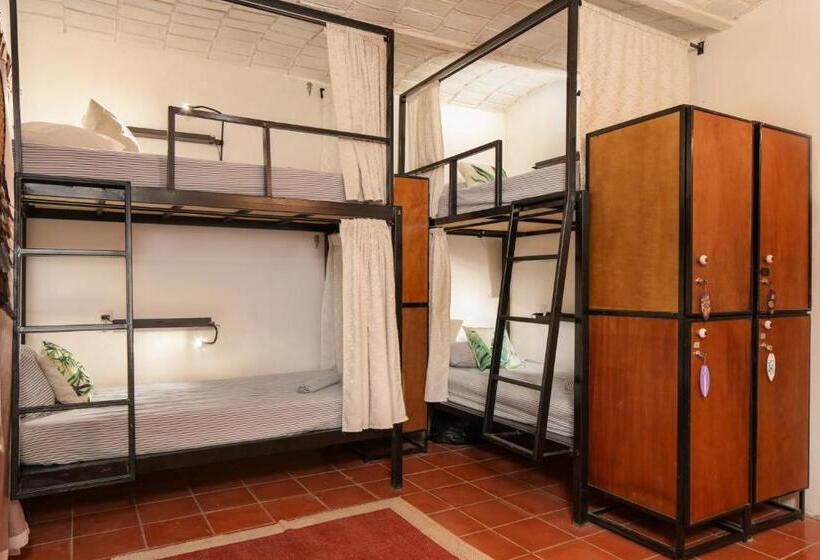 ユースホステル My Sisters House Female Only