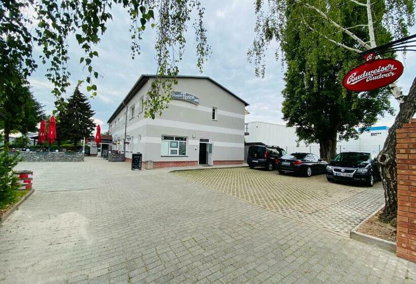 הוסטל Pension Florion