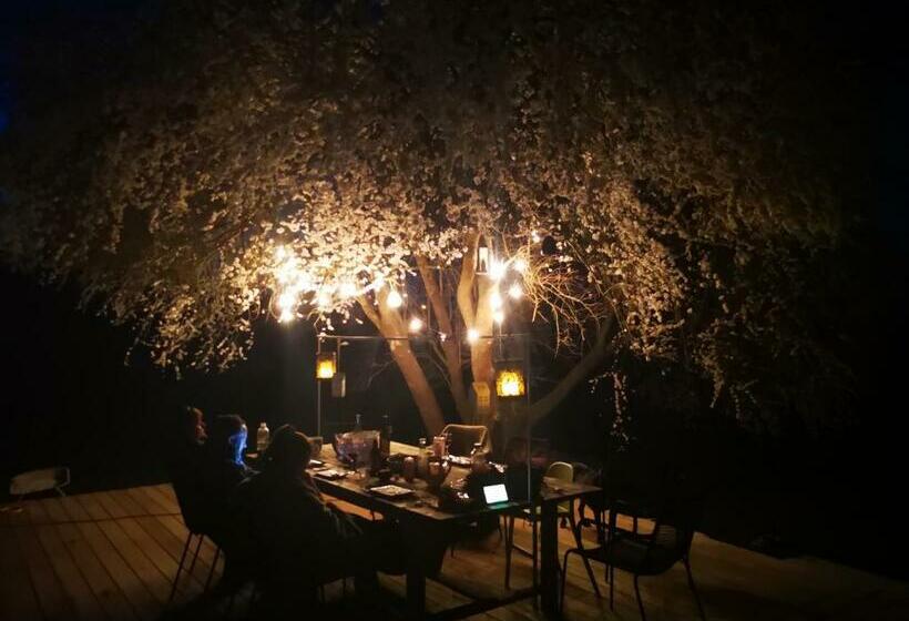 住宿加早餐  Aura D épices