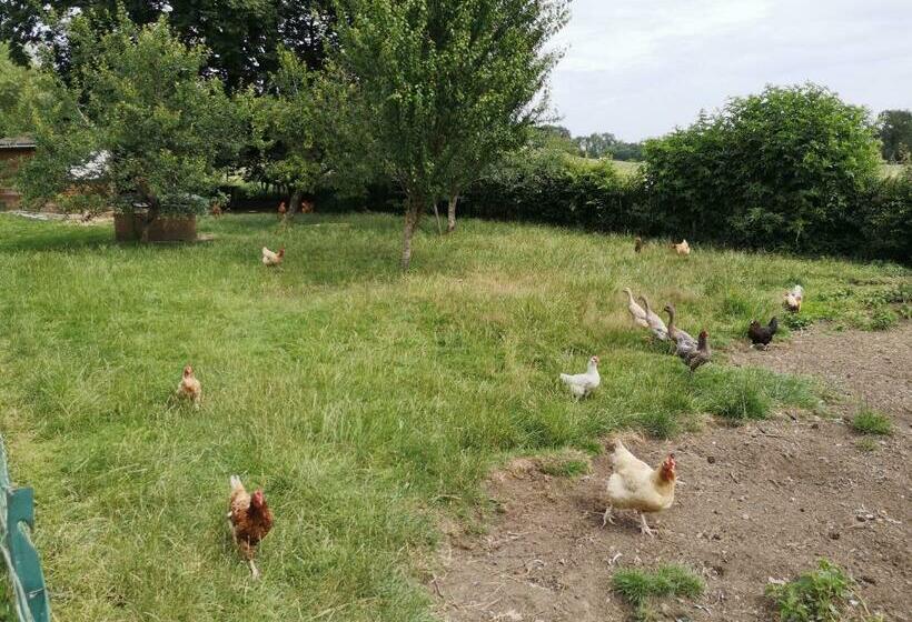 住宿加早餐  Aura D épices