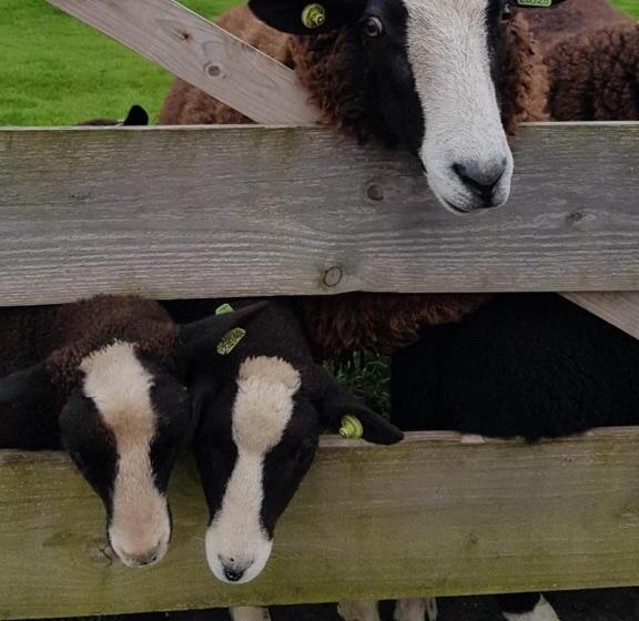 مبيت وإفطار Bed En Breakfast Donna