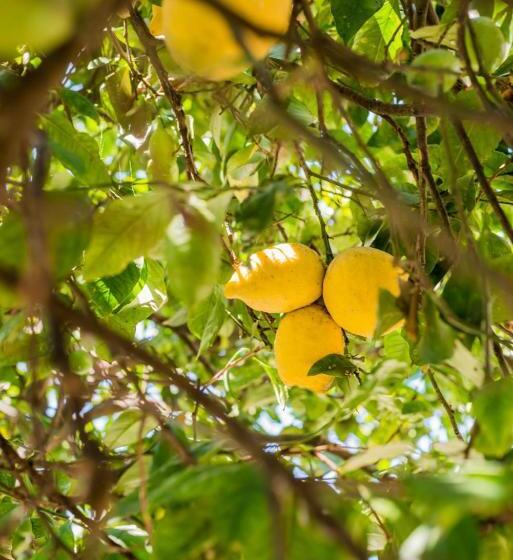 민박 Casa Dos Azulejos