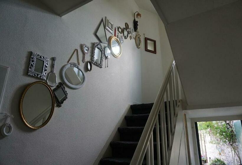 צימר De Bezige Bij