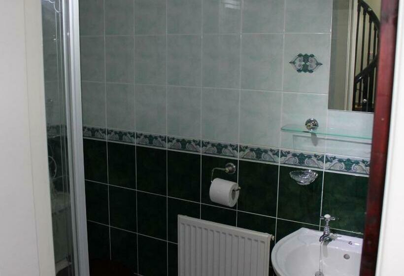 住宿加早餐  Loch Arklet House