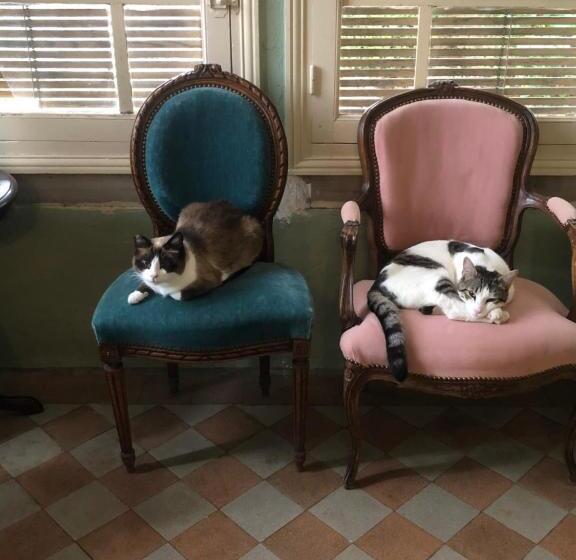 مبيت وإفطار Maison De La Comtesse