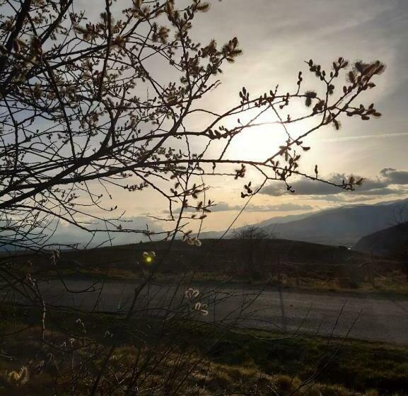 Bed and Breakfast Mas Rondole Chambres D Hôtes