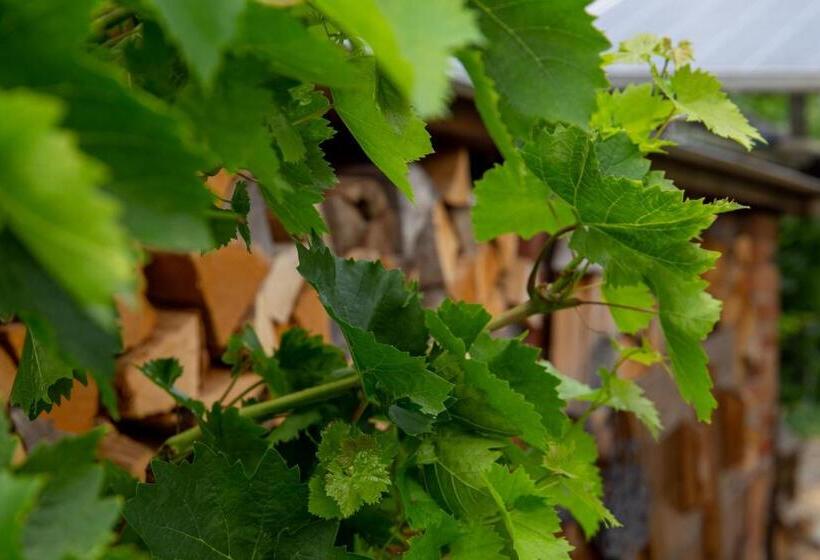 Bed and Breakfast Moselhaus