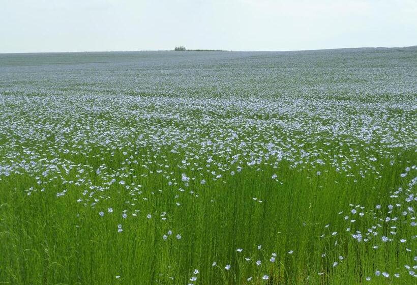 مبيت وإفطار Nature Et Plage