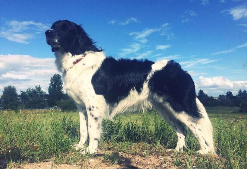 تختخواب و صبحانه Private Studio With Free Car Parking