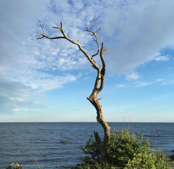 住宿加早餐  Rum På Landet