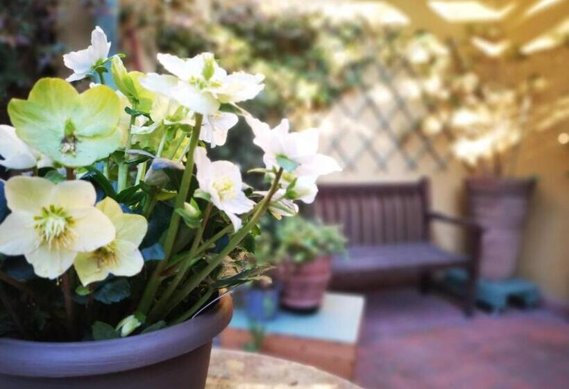 Casapatrizia Art B&b