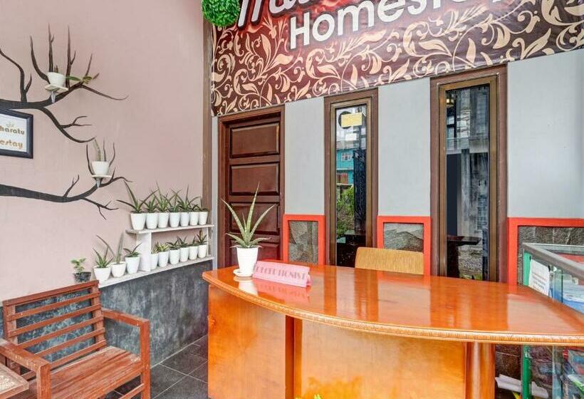 Отель Reddoorz At Jalan Dieng 3